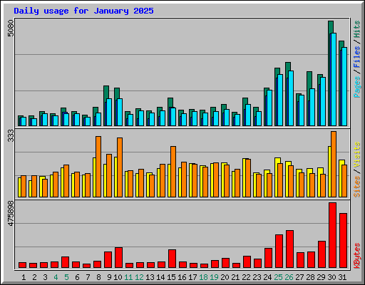 Daily usage for January 2025