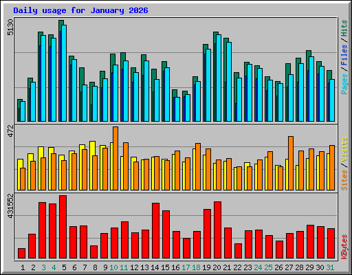 Daily usage for January 2026
