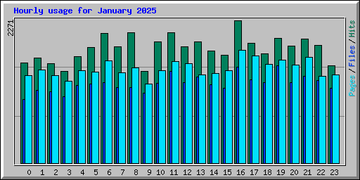 Hourly usage for January 2025