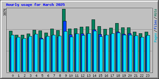 Hourly usage for March 2025