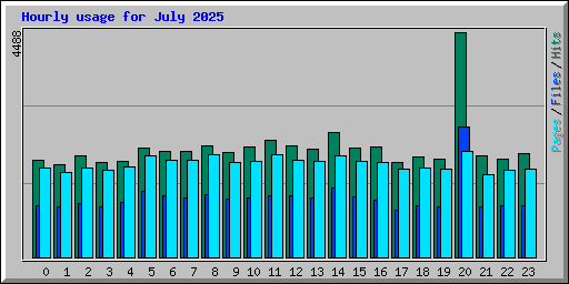 Hourly usage for July 2025