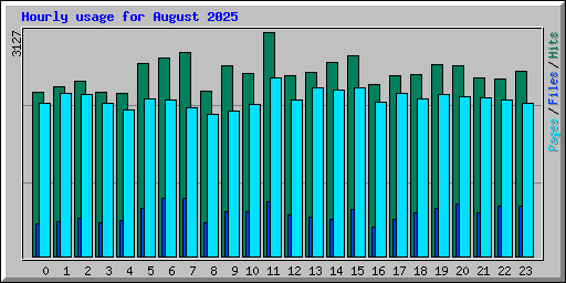 Hourly usage for August 2025