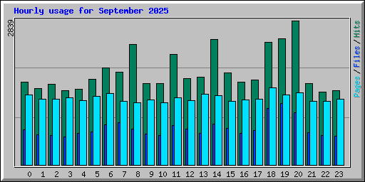 Hourly usage for September 2025