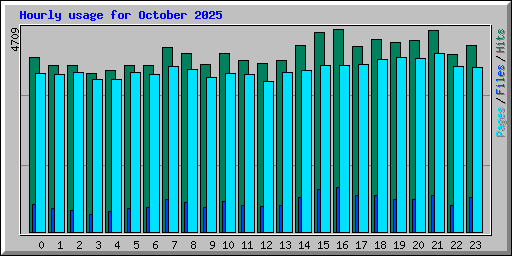 Hourly usage for October 2025