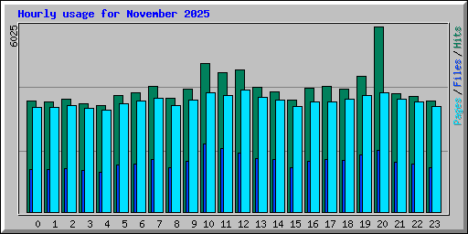 Hourly usage for November 2025