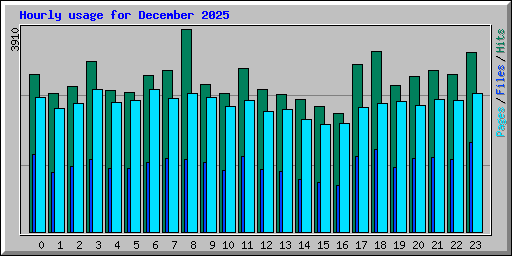 Hourly usage for December 2025