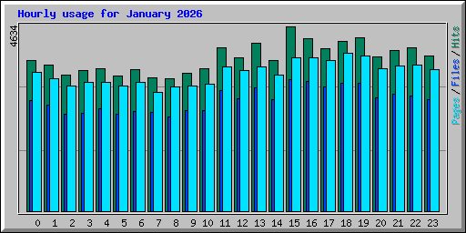 Hourly usage for January 2026