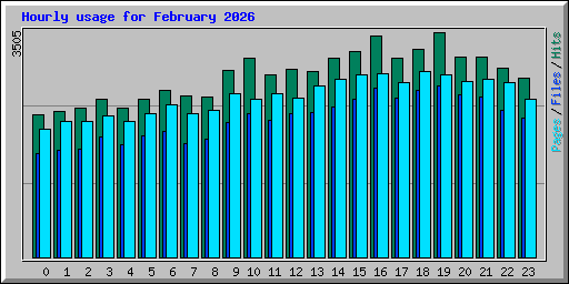 Hourly usage for February 2026